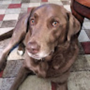 Meet your Posher, Gord